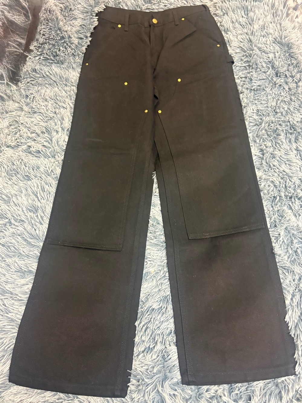 Carhartt B01-M Double Front Utility Pants 28x32 Black NWT